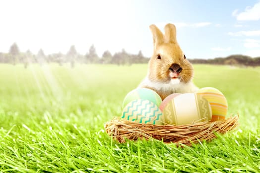 Colorful easter eggs in the nest and little bunny on the grass field with trees and blue sky background. Happy Easter
