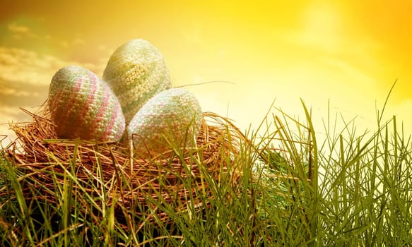 Colorful easter eggs in the nest on the green grass with sunrise background. Happy Easter