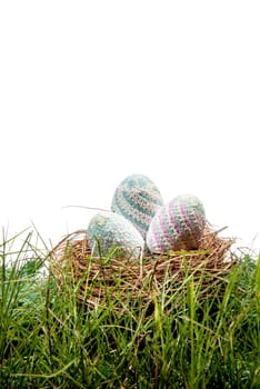 Colorful easter eggs in the nest on the green grass over white background. Happy Easter