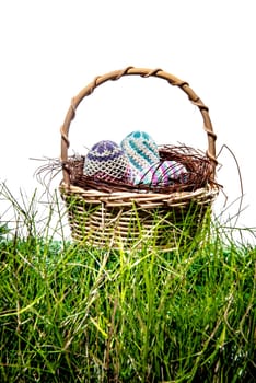 Colorful easter eggs in the nest on wooden basket at green grass over white background. Happy Easter
