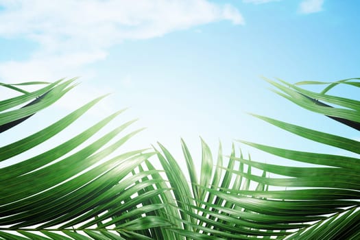 Palm branches with green leaves against blue sky background. Palm Sunday concept
