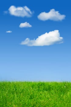 Fresh spring green grass, Panorama