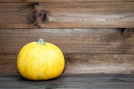 decoration with pumpkin for autum