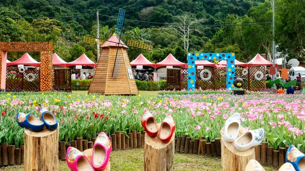 Taipei Shilin official residence, Taiwan - 21 Feb, 2019: 2019 Shilin official residence tulip exhibition, Taipei, Taiwan