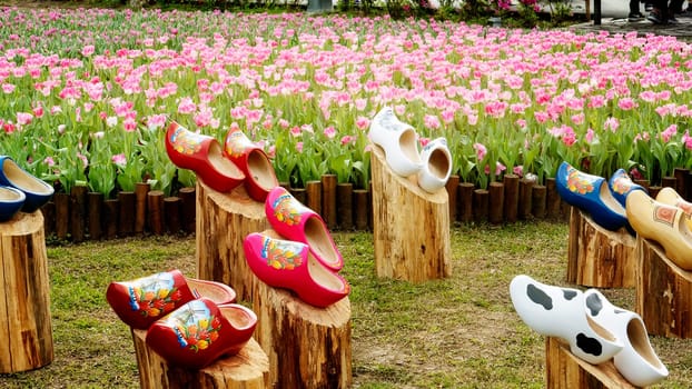 Taipei Shilin official residence, Taiwan - 21 Feb, 2019: 2019 Shilin official residence tulip exhibition, Taipei, Taiwan