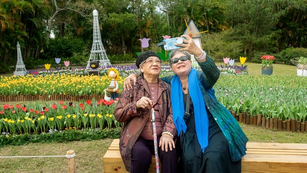 Taipei Shilin official residence, Taiwan - 21 Feb, 2019: 2019 Shilin official residence tulip exhibition, Taipei, Taiwan