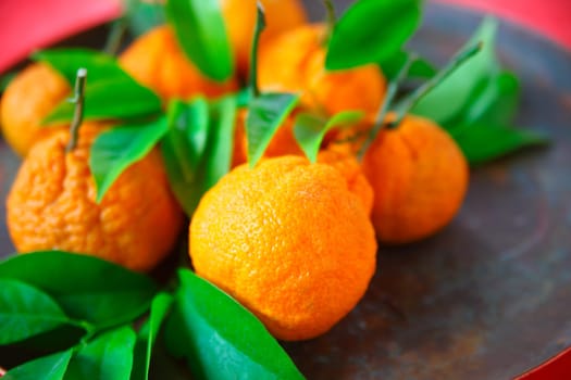 Fresh tangerines with room for text
