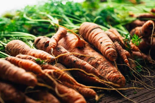 Fresh carrots close-up on a wooden background.