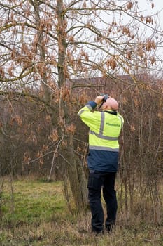 Expert during the examination of trees for a possible pest infestation by the Asian longhorned beetle. The beetle from Asia was first registered in Europe in 2001.