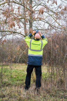 Expert during the examination of trees for a possible pest infestation by the Asian longhorned beetle. The beetle from Asia was first registered in Europe in 2001.