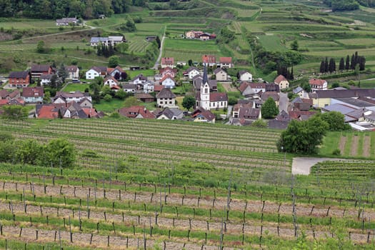 View over the vineyards to Bickensohl in the Kaiserstuhl