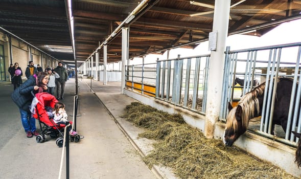 a mother with stroller shows horses to her little baby girl at Fico Eataly World in Bologna, Italy, 13 Gen 2019