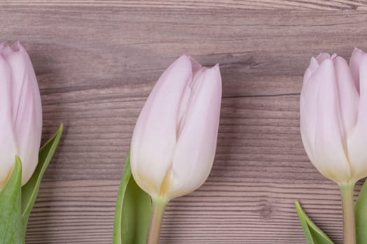 Beautiful present symbol flowers for valentine's day, mother's day, wedding, birthday, easter, girlfriend, wife or sweetheart. Wooden background.