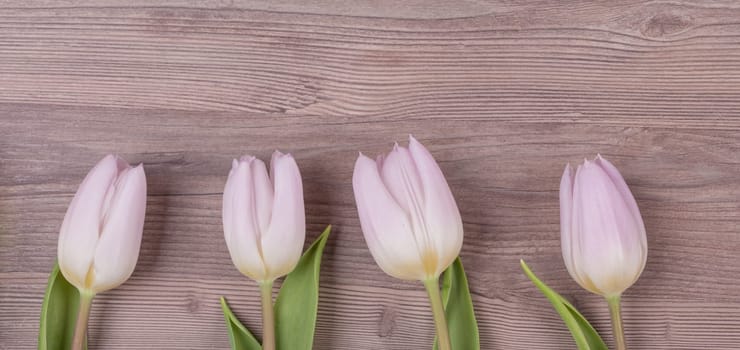 Beautiful present symbol flowers for valentine's day, mother's day, wedding, birthday, easter, girlfriend, wife or sweetheart. Wooden background and copyspace.