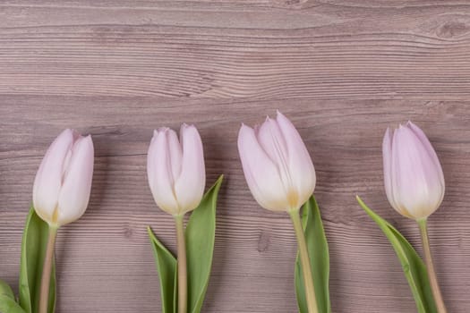 Beautiful present symbol flowers for valentine's day, mother's day, wedding, birthday, easter, girlfriend, wife or sweetheart. Wooden background and copyspace.