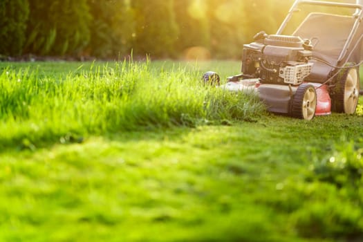 Lawn mower cutting green grass