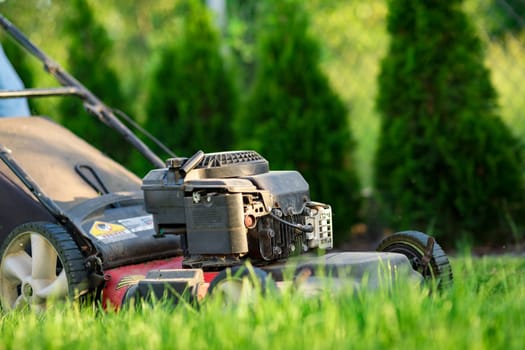 Lawn mower cutting green grass
