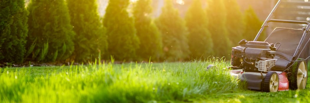 Lawn mower cutting green grass