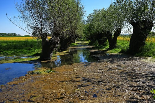 Aischquelle in Burgbernheim is a city in Bavaria, Germany, with many historical attractions