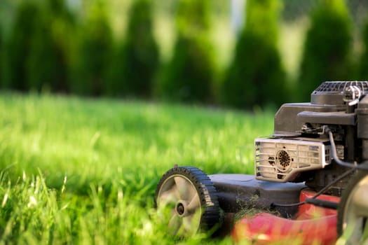 Lawn mower cutting green grass
