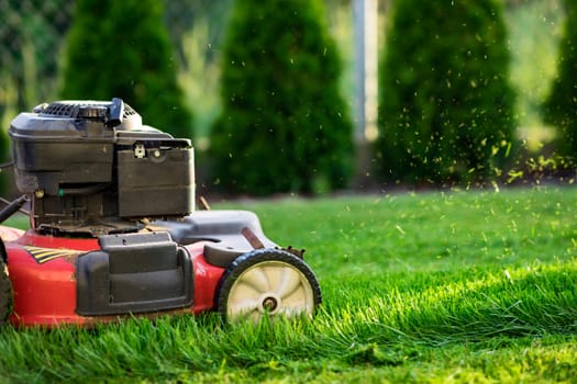 Lawn mower cutting green grass