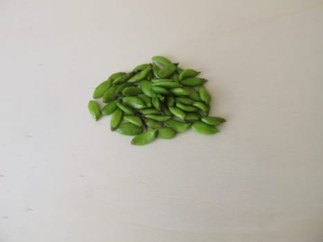 Capsule fruits from lilac on wooden board