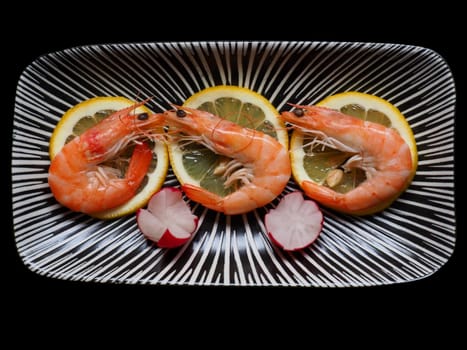 Shrimp