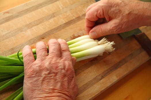 Senior man with fresh scallions and room for text