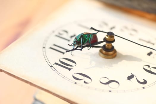 Green insect on the hour hand of a vintage clock face