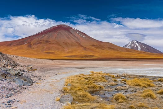 On the edge of Laguna Blanca,4,331 m altitude,Andina Eduardo Abaro National Park,Altiplano,Potosí Department,Bolivia