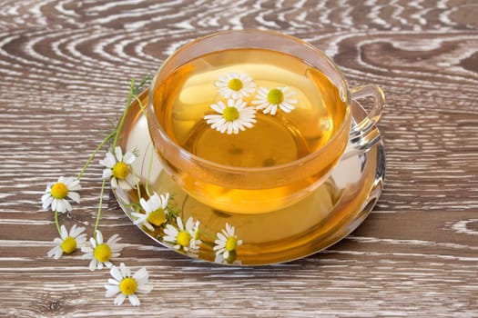 cup of herb tea with fresh chamomile.