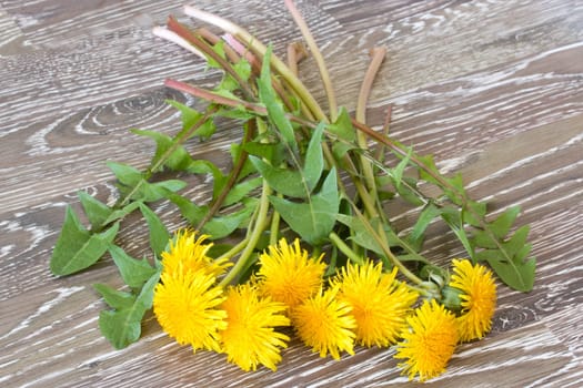 bunch of hawkbit on wooden table