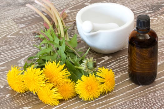 fresh hawkbit near medicine bottle, mortar and pestle.