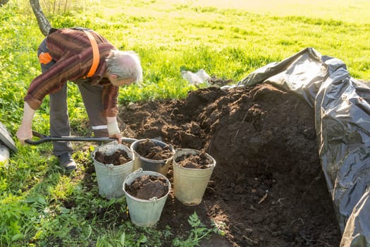 old man working in garden. putting organic fertilizer in buckets.