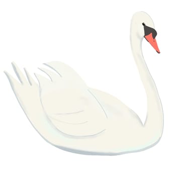 Wild water birds found on the mere