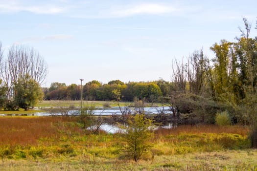 nature reserve Bislicher Insel, Lower Rhine Region, Germany