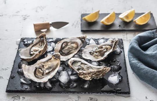 Raw oysters on the slate board close-up