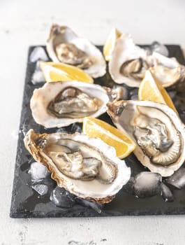 Raw oysters on the slate board close-up