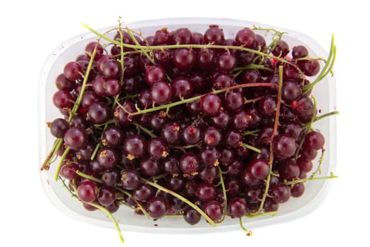 Fresh defrosted red currants. Frozen in summer to eat fresh in winter