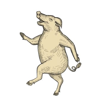 Drawing sketch style illustration of a jolly and happy pig dancing, walking or taking a stride viewed from side on isolated white background.