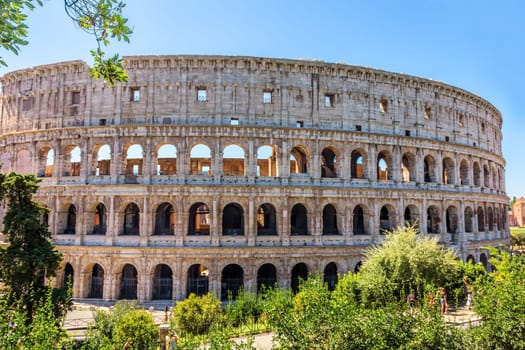 Coliseum in greenery, summer view,  no people, Rome Italy