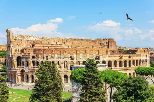 Coliseum in Rome and the Arch of Constantine, summer view, Italy.