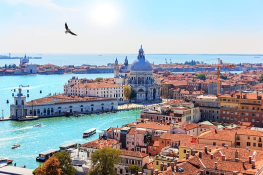 Venice aerial view on Basilica Santa Maria della Salute from Piazza San Marco.