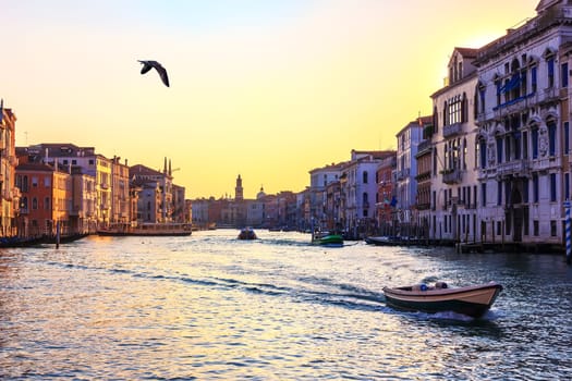 Grand Canal of Venice, beautiful view near the Rialto Bridge.