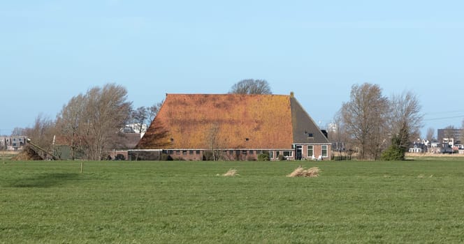 Old dutch farm in the north part of the Netherlands