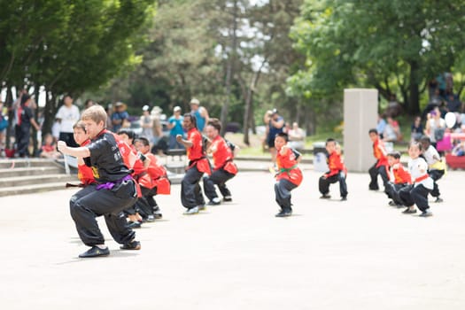 Columbus, Ohio, USA - May 27, 2018 Members of the Ohio Wushu Academy of chinese martial arts perform at the Asian Festival.