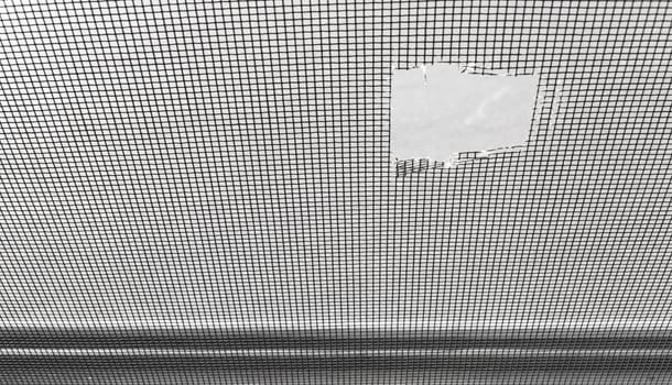 Closeup of a damaged mosquito screen.