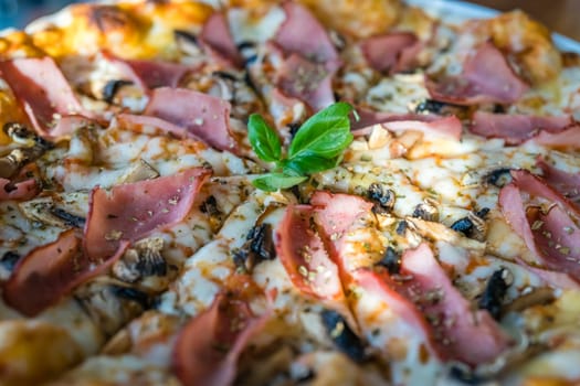 Close up of a freshly baked crispy ham and mushroom pizza decorated with basil leaf