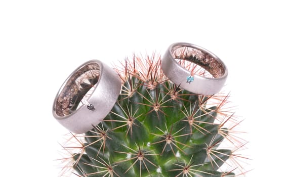 Romantic wedding ring on Cactus and white background