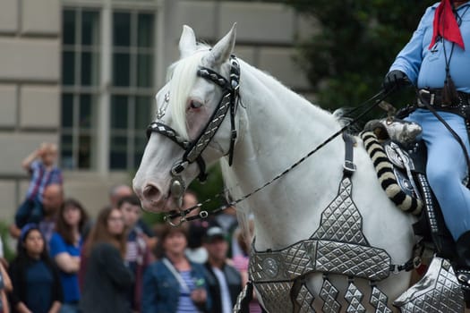 Washington, D.C., USA - July 4, 2016, The National Independence Day Parade is the  Fourth of July Parade in the capital of the United States, it  commemorates the adoption of the Declaration of Independence, only selected schools, and other groups participate.